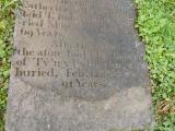image of grave number 647447